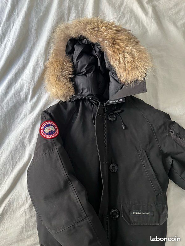 CANADA GOOSE