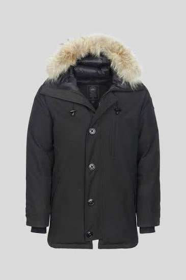 CANADA GOOSE